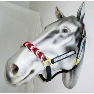 Pferdehalfter "Ahoi" Halfter geflochten Flechthalfter Paracord Pferd Pony Vollblut Warmblut