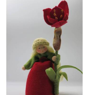 Amaryllis - Blumenkind - Jahreszeitentisch - Waldorf Art - Weihnachten - Winter - Art. Nr. WI2