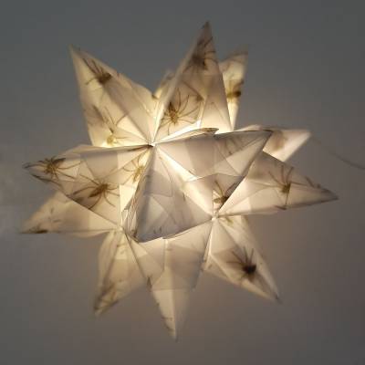 Bascettastern Motivpapier Spinne transparent – Origami Papier für Halloween Deko