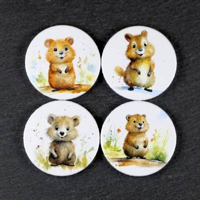 4er Set Buttons / Magnete: Quokkas (2) ~ 38mm