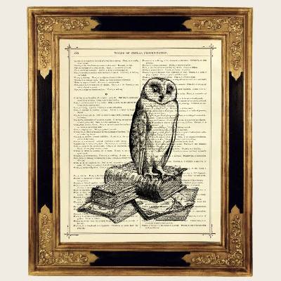 Eule Bild Druck Bücher Literatur Bücherwurm Dark Academia - Kunstdruck auf antiker viktorianischer Buchseite
