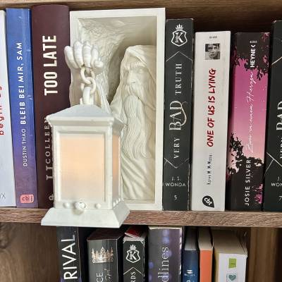 Epic Vintage Buchhalter Wächter | Bücherregal | Buchecke | Buchstütze | Passend für Herr der Ringe & Harry Potter Fans