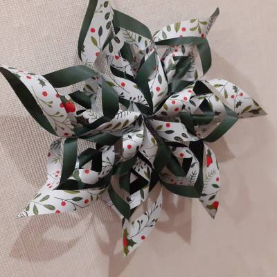 Extravagante Sterne Weihnachten