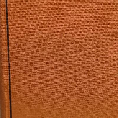 Die Elixiere des Teufels