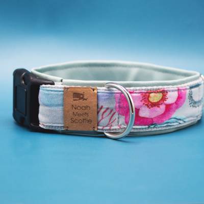 Hundehalsband oder Hundegeschirr CORAL GLOW – Unterwasser-Motiv, hellblau, bunte Korallen