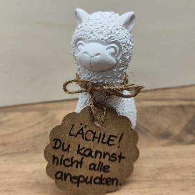 Alpaka / Lama mit Schild, Geschenkidee, Geschenk für Büro, Kollegen, Freunde
