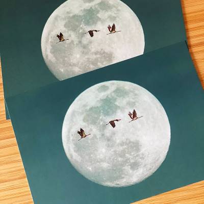 Grußkarten 2er Set "Glücksbringer" (2-seitig, ohne Umschläge) DIN A6 Postkarte Kunstkarte Kraniche Wunscherfüller 