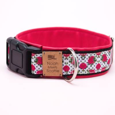 Hundehalsband oder Hundegeschirr Mariella – Rosen, Polka Dots, romantisch, Landhausstil, fuchsia