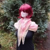 Gestricktes Halbrund-Tuch mit Farbverlauf & gehäkelter Bogenkante – Einzigartiges Accessoire