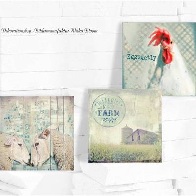 FARMHOUSE 3er Set Wandbilder Schaf Huhn im Shabby Chic Landhausstil als Leinwandbild Holzdruck Kunstdruck günstig kaufen