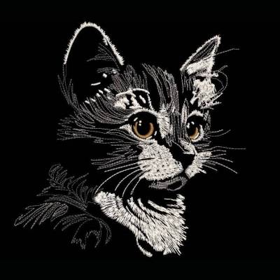 Maschinen Stickdatei - Katze Konturen grau Lichteffekt 15-16x26cm, 20*17 (JEF)