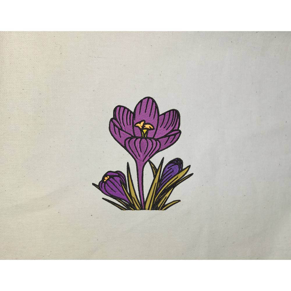 Krokus 12-14*18cm Bild 1