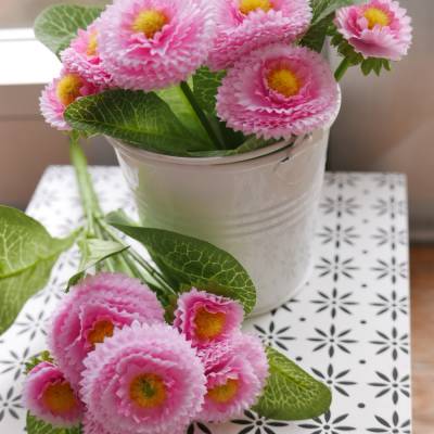 Bellis, Frühlingsdeko