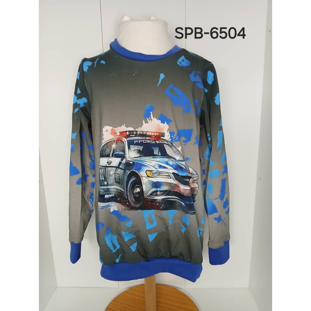 Langarmshirt, Sweater Gr. 110/116 Bild 1