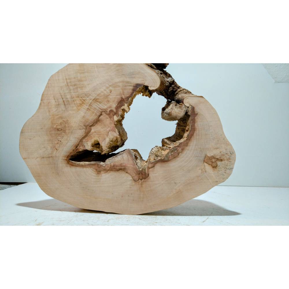 Groß,Baumscheibe, Holzscheibe, Ahorn, Unbearbeitet,Holz, Bastelholz, Holzdeko, Dekoration,Holz
