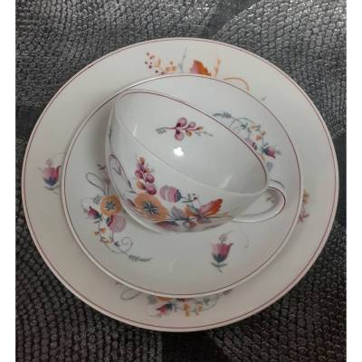 Vintage Gedeck Sammeltasse Sammelgedeck von Rosenthal Bavaria