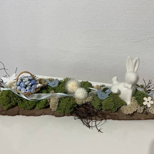 Ostergesteck auf einer Baumrinde