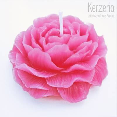 Rosenkerze pink Valentinstag und  Hochzeit