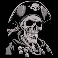 Totenkopf Pirat Lichteffekt 20x26-30cm, 21*40cm EXP