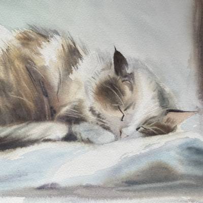 Das Aquarellbild "Schlafende Katze"