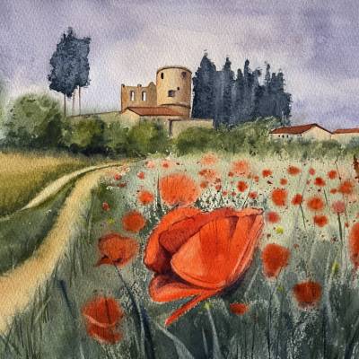 Das Aquarellbild "Rote Mohnblumen"