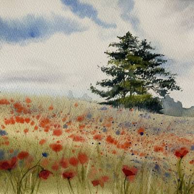 Das Aquarellbild "Feld feuriger Mohnblumen"