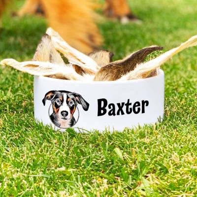 Keramik Futternapf APPENZELLER SENNENHUND, Hundenapf mit Name