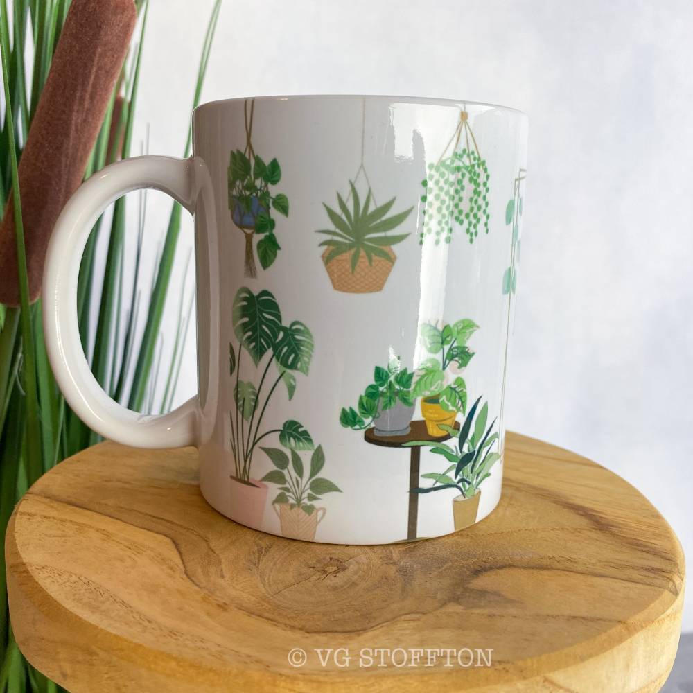 burle marx fantasy philodendron Philodendron Burle Marx Fantasy main image 0
