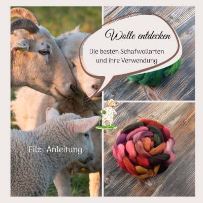 E-Book: Entdecke die beste Schafwolle zum Nassfilzen mit „Wolle entdecken: Die besten Schafwollarten und ihre Verwendung