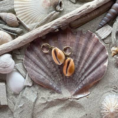 Ohrringe „Beach“ cognac - Goldfarbene Edelstahl-Creolen mit cognacfarbener Kauri-Muschel