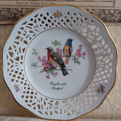 Alter Zier-/ Wandteller mit Vogelmotiv vom Buchfink - Porzellanmanufaktur Schumann Arzberg