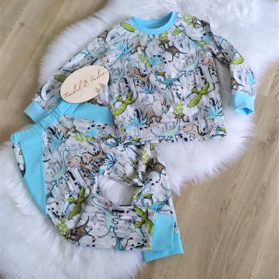 Set*Junge*Pullover*Hose*Taschen*Dino*Größe 98
