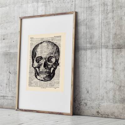 Scull - Druck auf antiquarischer Buchseite / bedruckte Buchseite