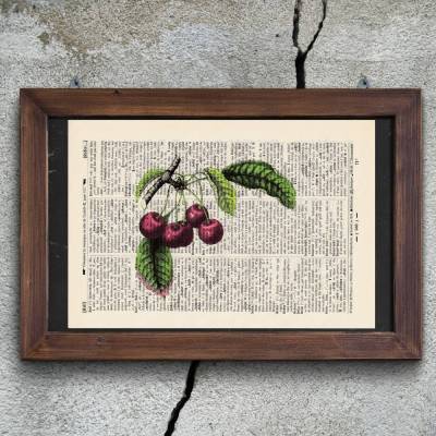 Kirsche - Druck auf antiquarischer Buchseite / bedruckte Buchseite
