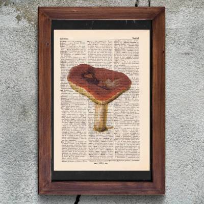 Pilz No.1 - Druck auf antiquarischer Buchseite / bedruckte Buchseite