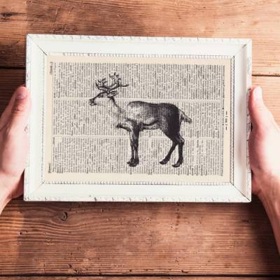 Reentier - Druck auf antiquarischer Buchseite / bedruckte Buchseite