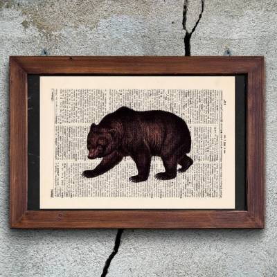 Braunbär - Druck auf antiquarischer Buchseite / bedruckte Buchseite