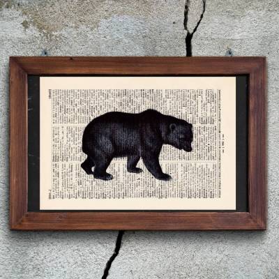 Schwarzbär - Druck auf antiquarischer Buchseite / bedruckte Buchseite