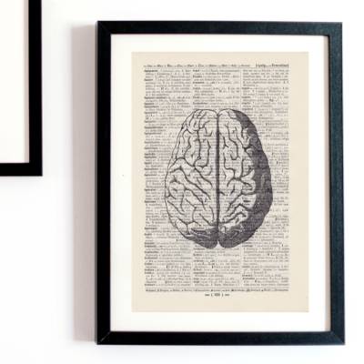 Brain - Druck auf antiquarischer Buchseite / bedruckte Buchseite