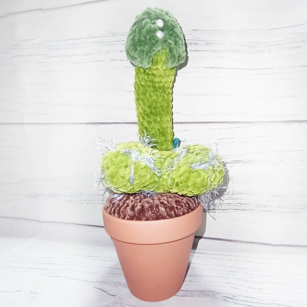 kaktus ball Cactus ball main image 1