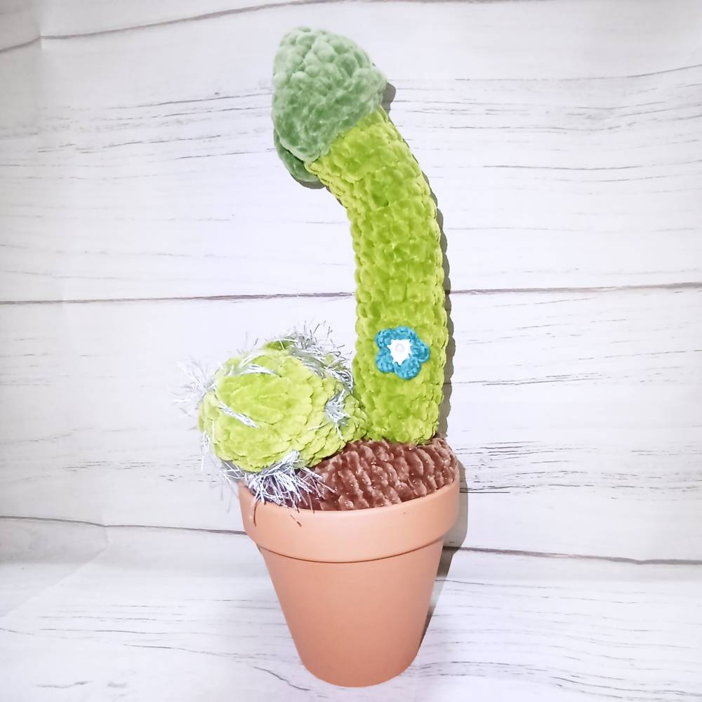 gehkelter Penis - Kaktus im Blumentopf (30cm) hell