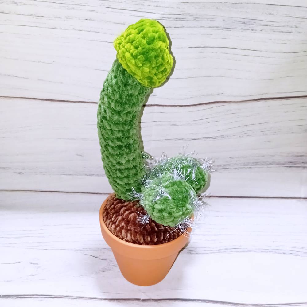 gehkelter Penis - Kaktus im Blumentopf (30cm) dunkelgrn