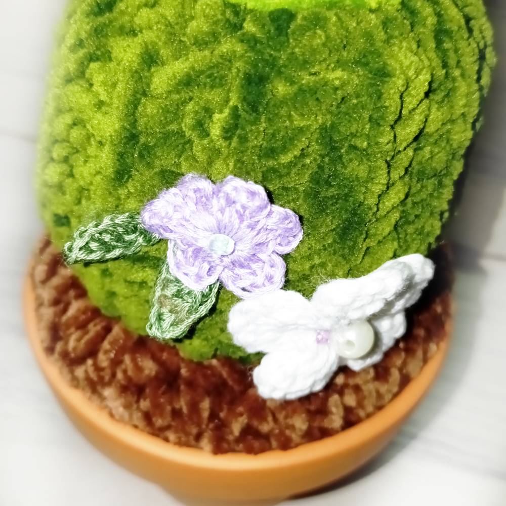 gehkelter Brust- Kaktus im Blumentopf (25cm)