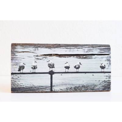 Möwen Fotografie als Holzdruck, Upcycling alter Holzbalken, Foto auf Holz, 16 x 8 cm