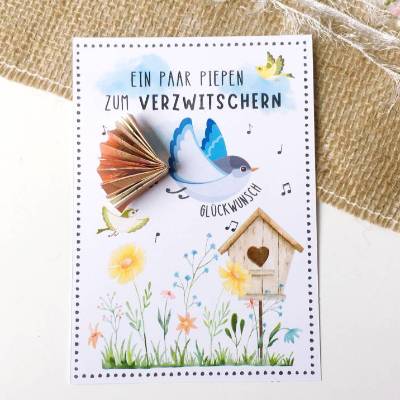 Druckvorlage Geldgeschenk - Glückwunschkarte - zum Geburtstag - Happy Birthday - Mitbringsel - Piepen