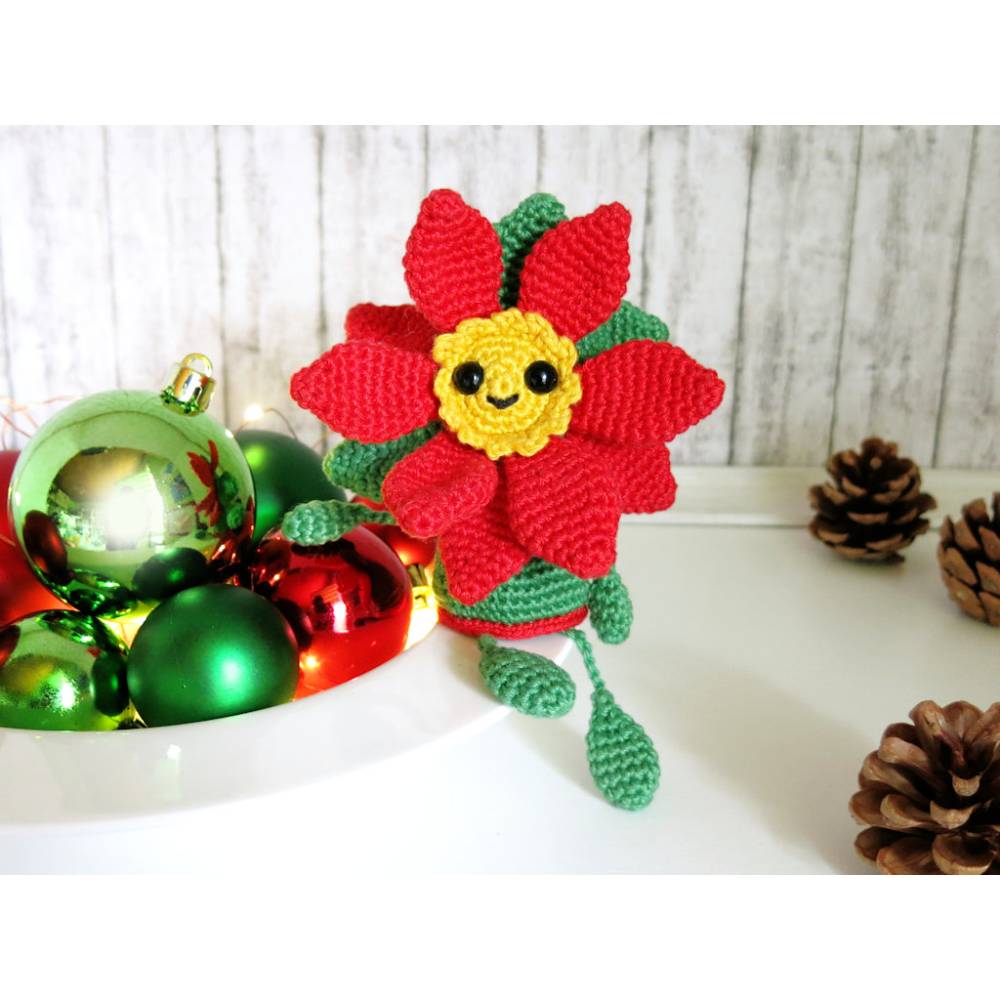 Kleiner Weihnachtsstern - Poinsettia
