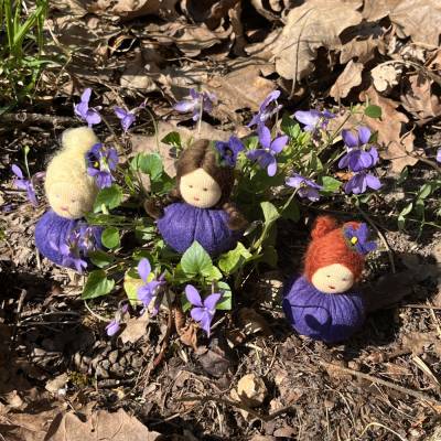 Veilchen Mini - Blumenkind - Jahreszeitentisch - Frühling