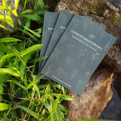 ILLUSTRIERTES WILDKRÄUTER BUCH für Einsteiger -  Selbstversorger, Wildkräuter Wissen lernen, Kräuterhexe, Gärtner, Gesch