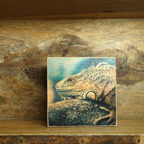 Leguan, Fotografie auf hochwertiger Multiplex Platte, Transferdruck, handmade