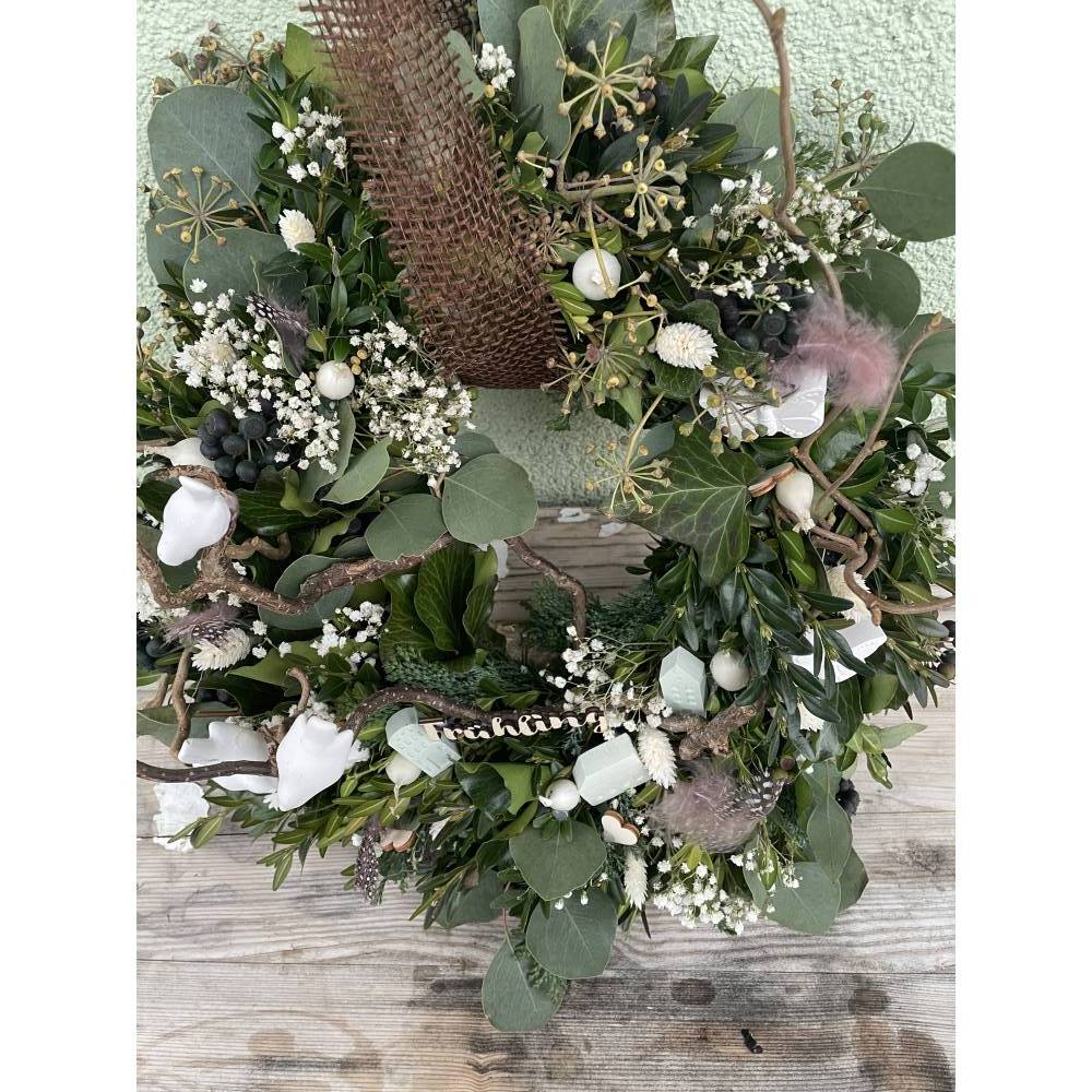 blüte glücksfeder Glücksfeder | kaufen main image 0